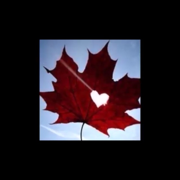 Meet your Posher, Carolyn - Picture 1 of 1